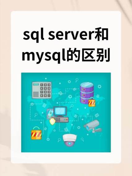 LINQ to SQL与NHibernate哪家更适合初学者入门？