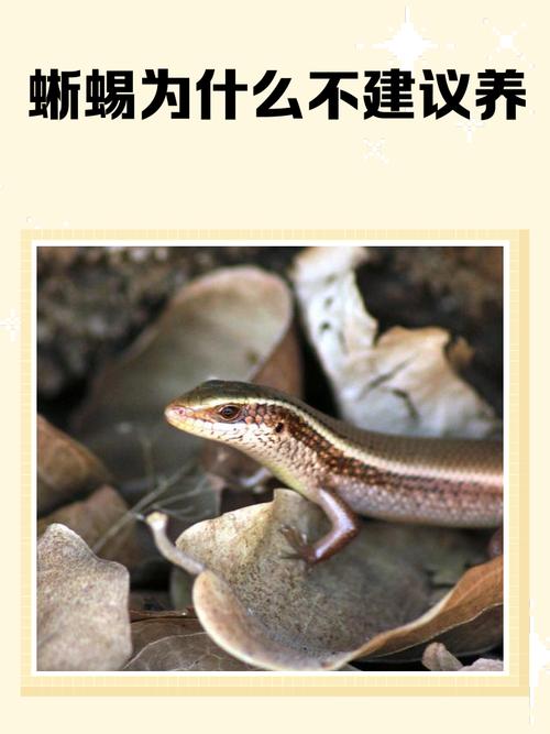为何不激活你的爬虫，让它活力四射？