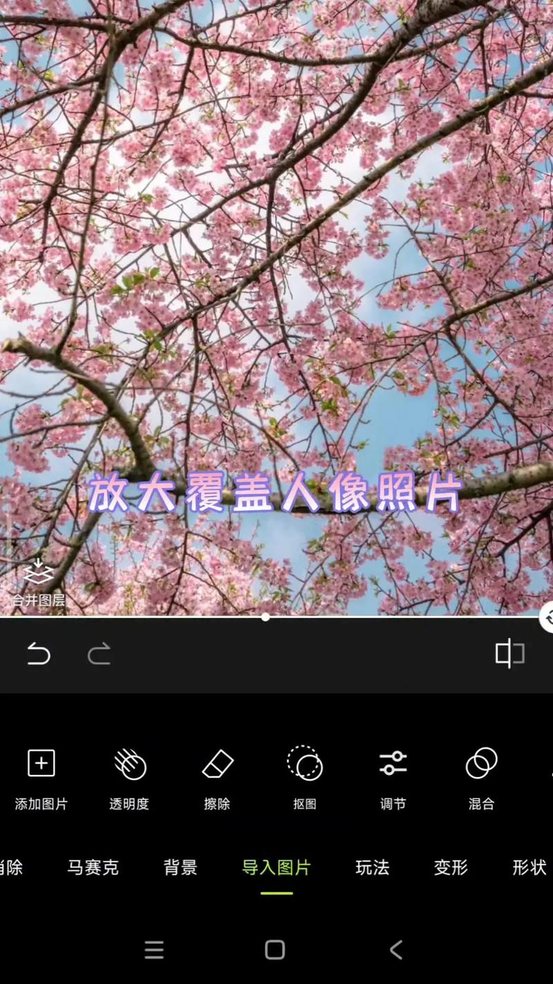 如何将艺术与技术结合，让网页背景图铺满全屏设计更完美？
