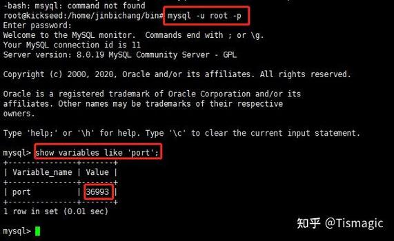 如何将Oracle数据库连接代码修改为MySQL数据库连接代码？