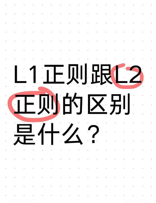 L2M是什么意思？