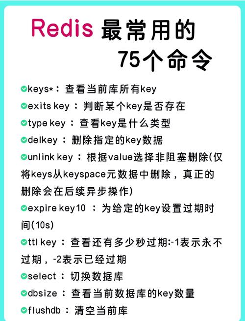 Vue指令大全里有哪些长尾词用法？