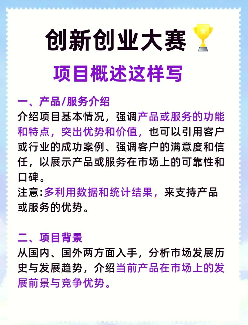 如何准确区分项目概述与公司简介在表述上的具体差异？