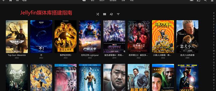 如何通过Jellyfin在Ubuntu上高效备份与恢复，确保我的媒体库安全无忧？