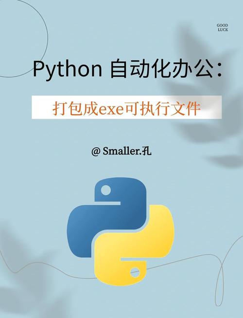如何将Python项目成功转换并打包为exe文件？