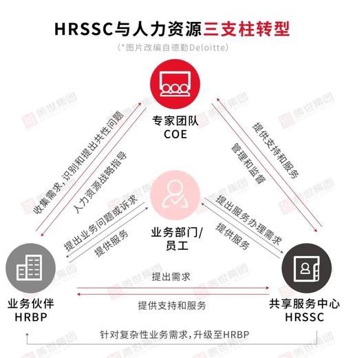 汕头SEO外包与自建团队，哪种方式在成本效益和专业度上更胜一筹？