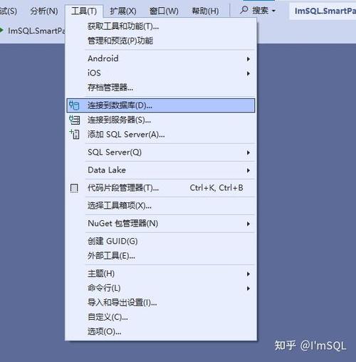 如何详细描述在Visual Studio中连接数据库的每一步操作流程？