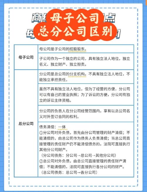 分公司和项目公司有哪些根本性的不同之处？