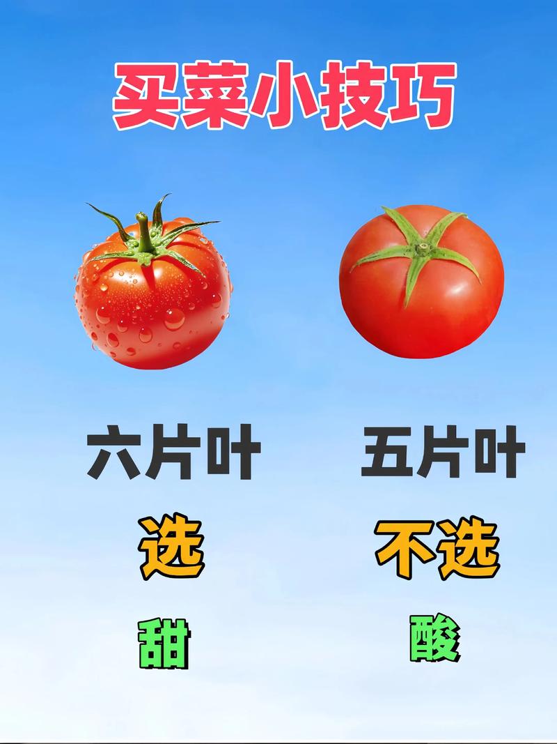 麻城网站SEO优化后如何让我买菜变得既方便又快捷？
