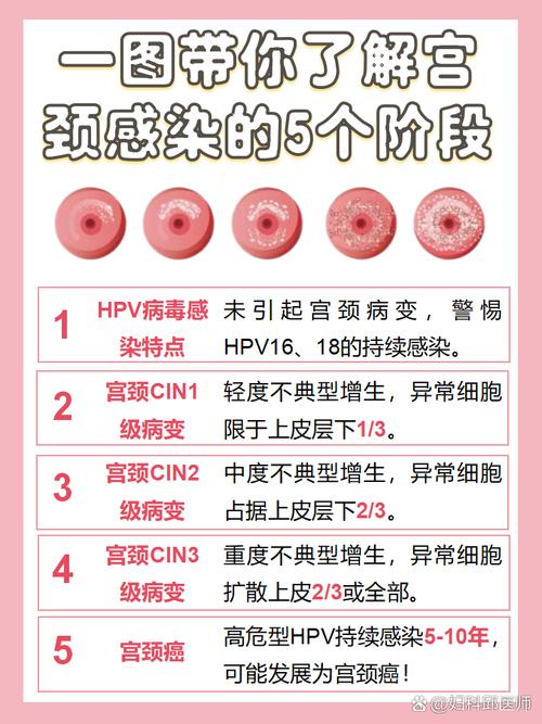 C中cin是什么意思？