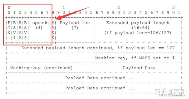 如何深入理解并高效运用sys.byteorder函数进行字节序检测？