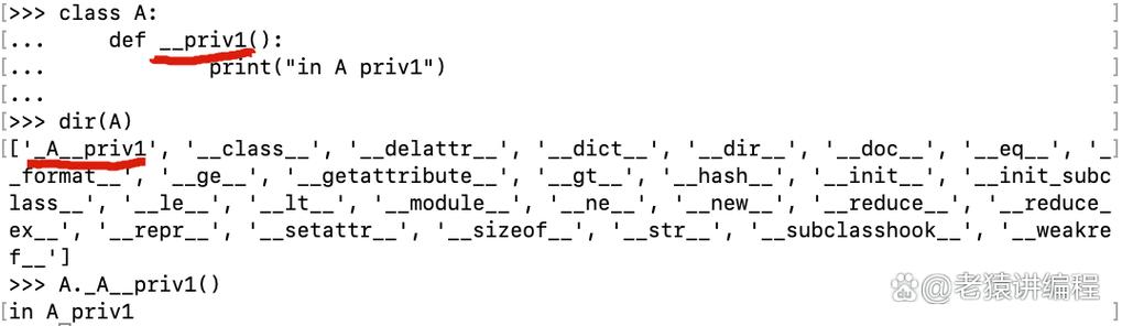 Python中下划线符号有哪些特殊用途？
