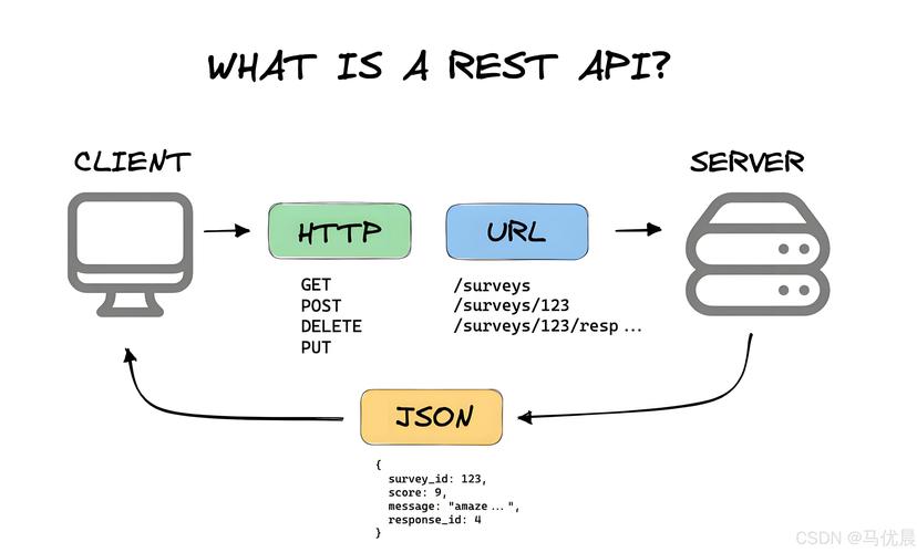 如何构建Laravel RESTful API，实现扩展性和高维护性的长尾服务？