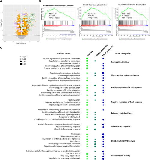 LyScript的详细解析是怎样的？