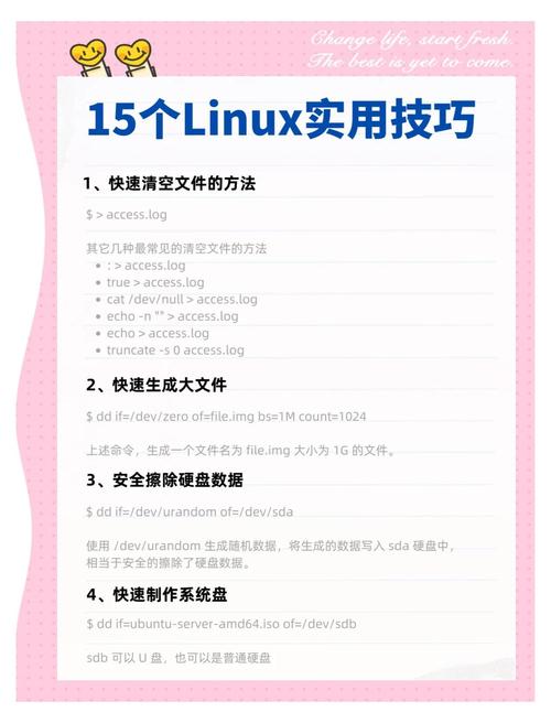 Linux环境下如何轻松提升工作效率的技巧有哪些?