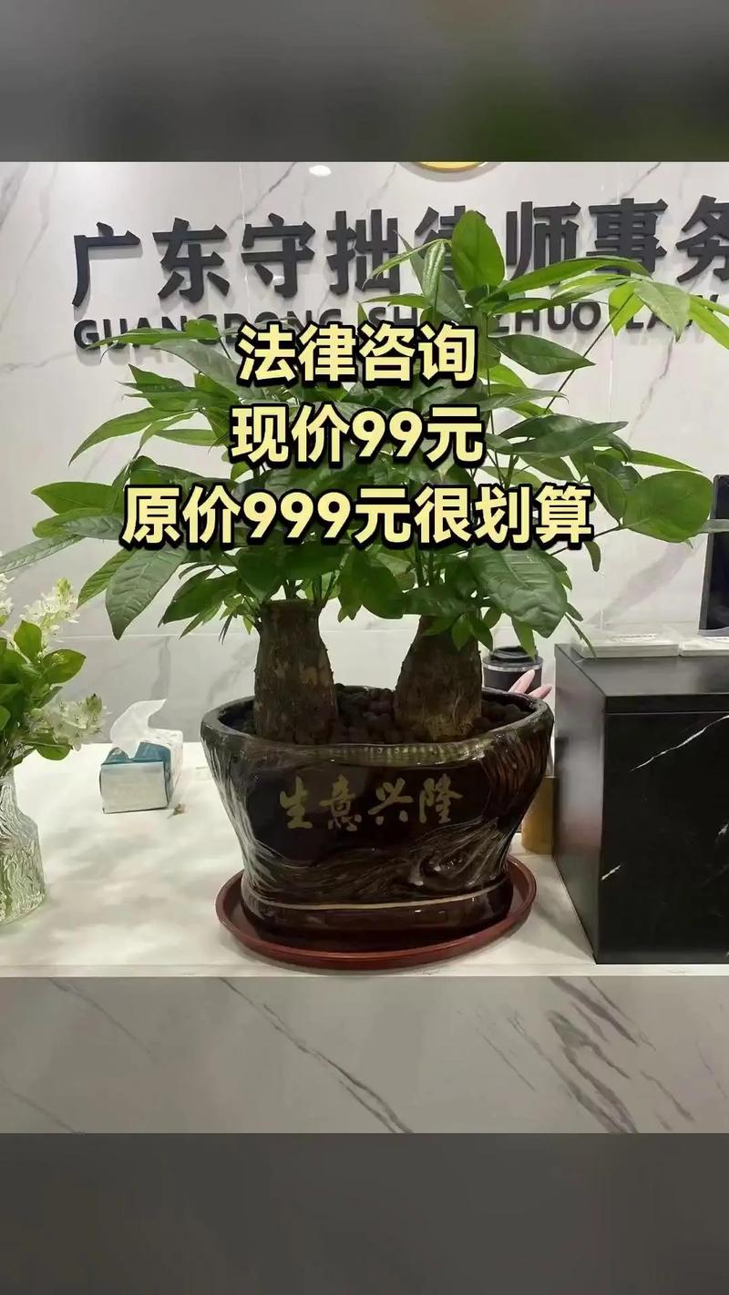淘宝上有没有白菜价的律师专业服务可以抢购？
