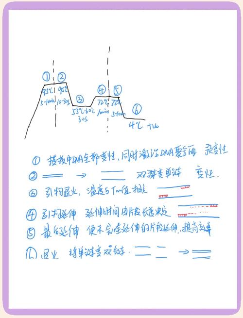 如何调整正则表达式以避免PCRE最大回溯/递归限制导致长尾词匹配问题？