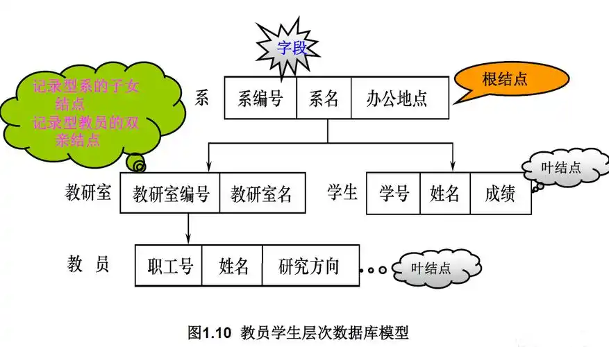 数据库中常见的两种数据模型分别是什么？哪种模型更适合处理复杂关系？