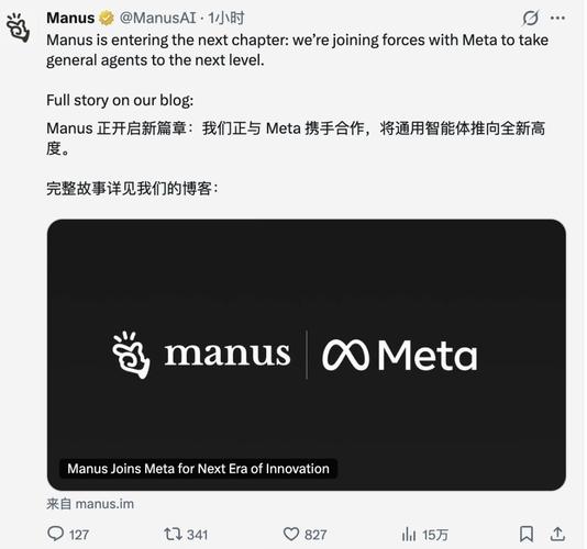 Meta收购Manus后个人开发者该如何调整策略以适应新环境？