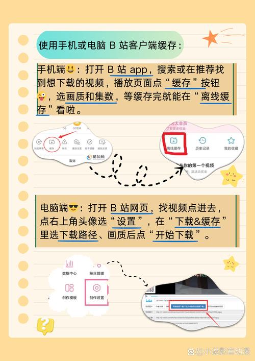 B站是什么平台？它主要提供哪些类型的视频内容？