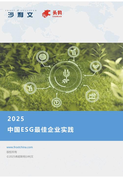 绿色金融数据库项目叫什么名字？