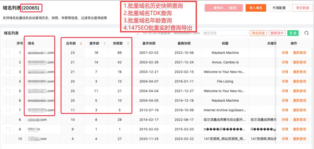 如何快速判断域名是否可用?推荐哪些免费工具?