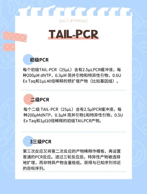 这个Lua片段的功能是什么？能否详细解释其实现的长尾词搜索算法？