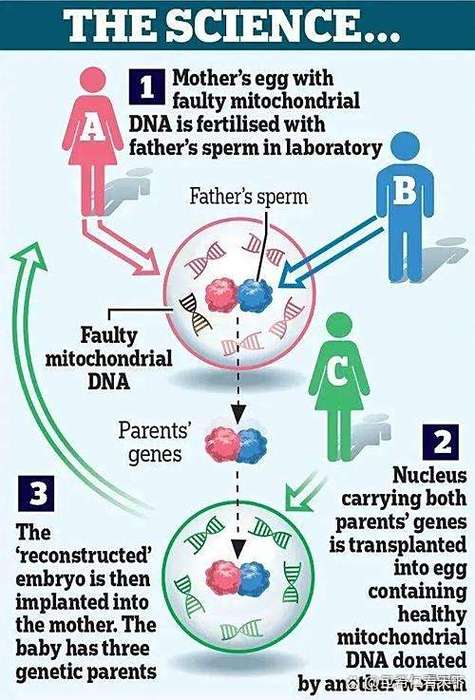 c派生类中如何实现重载父类的特定方法？