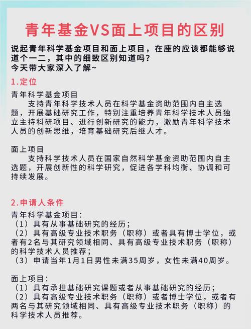 面上项目和指导项目最本质的区别是什么？