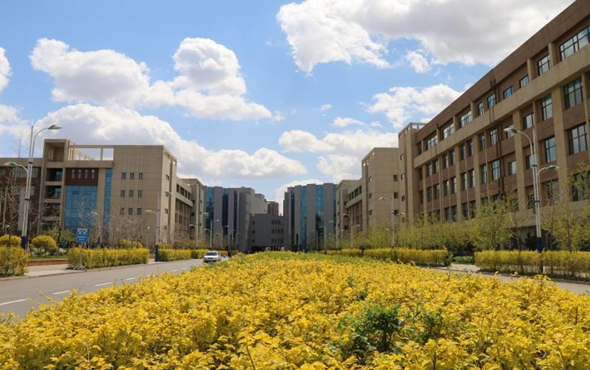 沈阳大东专业网站建设科技公司如何前瞻性地引领沈阳大东技术学院创新发展？
