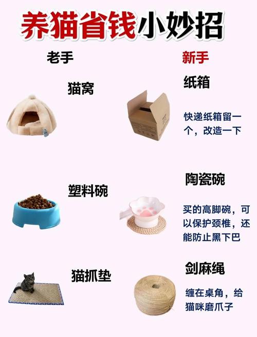 如何制定宠物用品网站预算，有哪些节省开支的妙招？