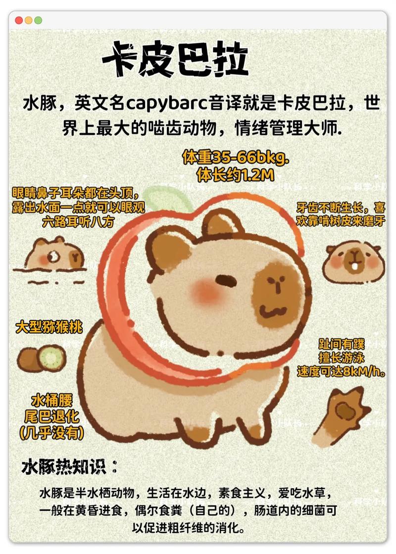 Ruby on Rails 3版本中，有哪些关于水豚的有趣知识点或问题值得探讨？