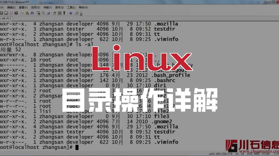 PHP函数mkdir()能创建目录吗？