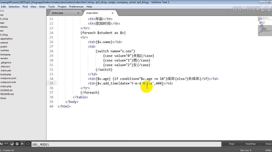 ThinkPHP标签在模板中有什么具体用途？