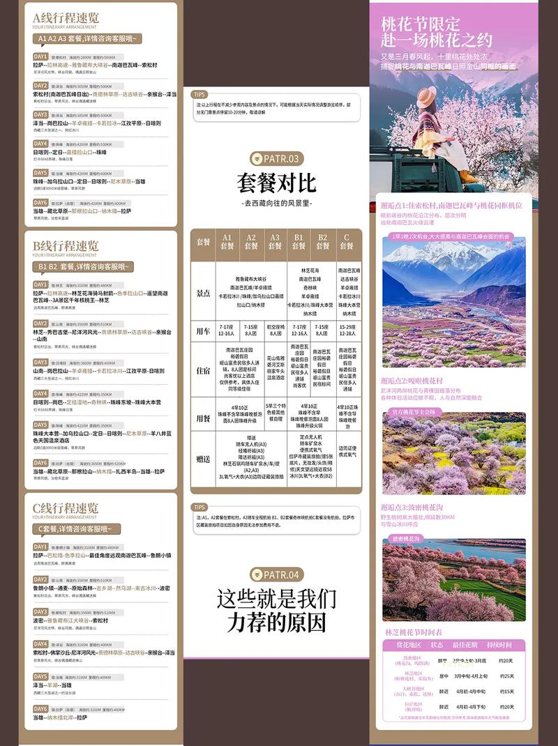 如何挑选专业团队深度打造西藏网站建设与推广的优选方案？