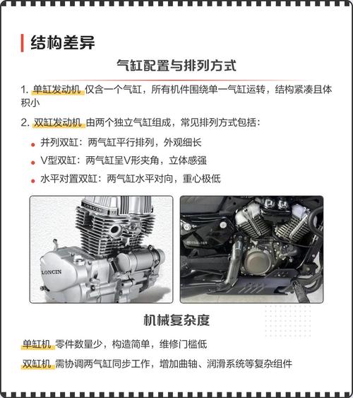 单缸和双杠运动项目在哪些本质方面存在不同？
