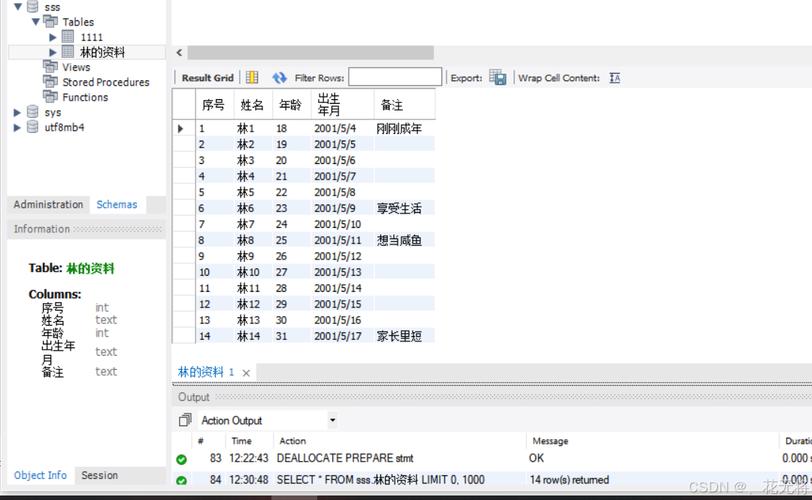 如何将OGR矢量数据高效导入MySQL数据库进行存储与管理？