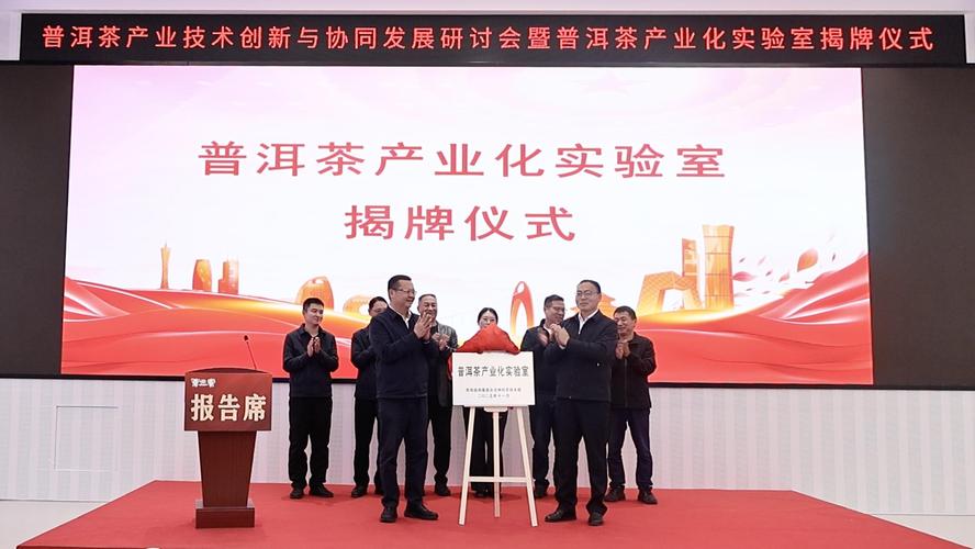 普洱网站建设深度探索，3AO CC专业引领，普洱在线官网发展如何实现突破？