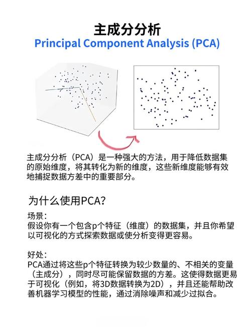 主成分分析详解文章中，有哪些关键步骤和原理？