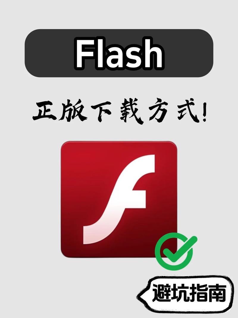 如何下载Flash模板？实战解析爆款秘诀有哪些？