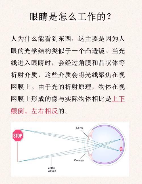 焦点的意思是什么，能否详细解释一下？