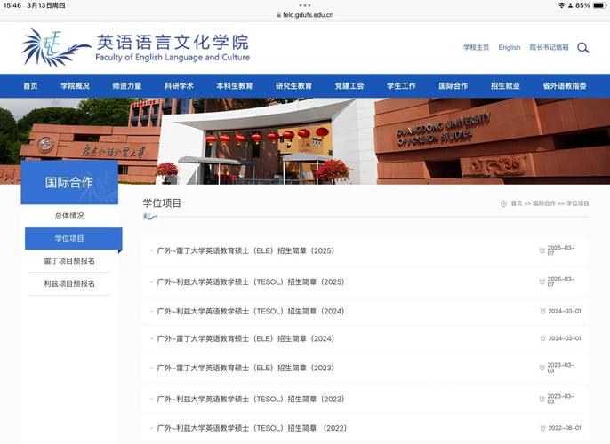 利兹与雷丁项目在哪些方面展现出显著的不同特点？