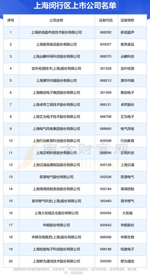 闵行有哪些专业网站建设公司是行业领先者？