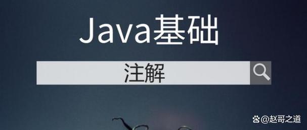 如何利用Java注解技术来自定义元数据？