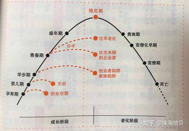 Rust中struct的生命周期是如何管理的？