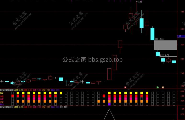 为什么这个背包问题求解器输出未知信号11，背后原理是什么？
