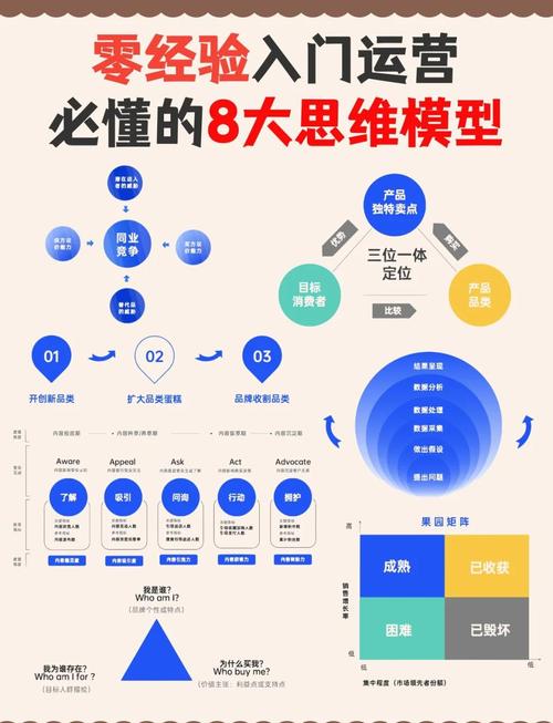 如何通过有效模型构建策略来显著提升运营效率？