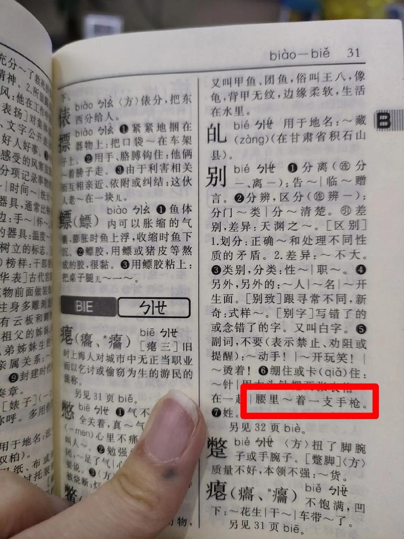 新华字典中詆字的读音、笔画、常用组词和起名改写分别是什么？