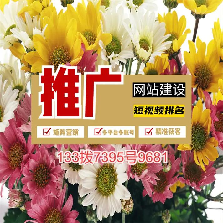 濮阳SEO优化和网站建设，哪家公司能提供更专业的服务呢？