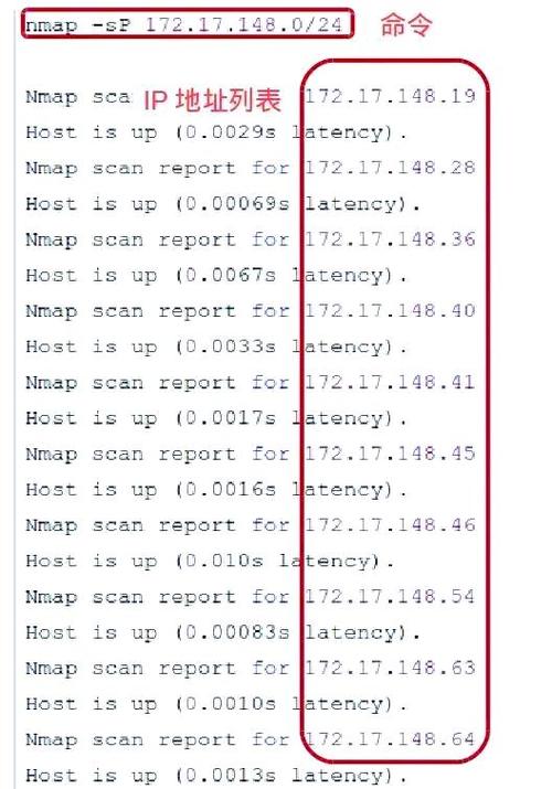 如何用Java编写代码随机生成一个有效的IP地址？